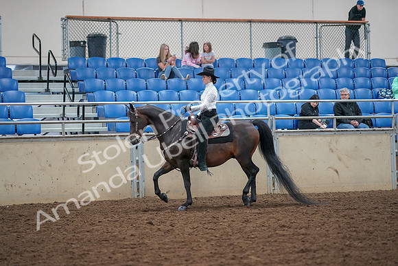 2019 Morgan Horse Show - Aug 30, 2019 - 16766