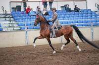 2019 Morgan Horse Show - Aug 31, 2019 - 21963