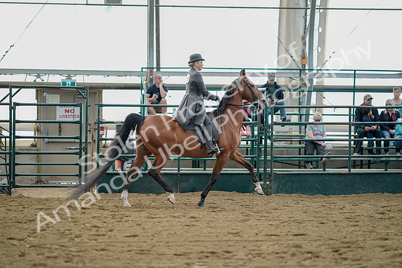 July 21, 2019 - 01847
