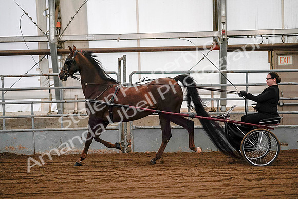 July 19, 2019 - 7056