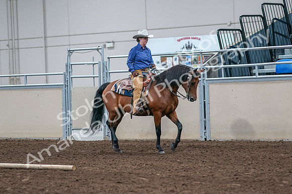 2020 - AB Morgan Horse - Fri, Sept 04 - 00191