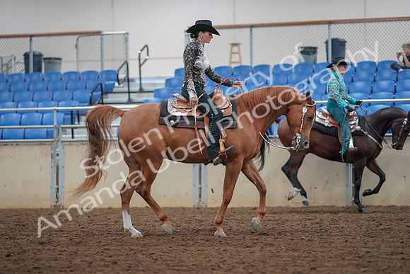 2019 Morgan Horse Show - Aug 30, 2019 - 16967