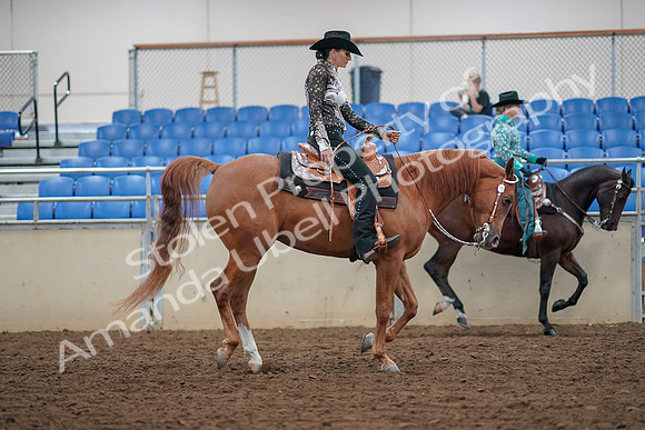 2019 Morgan Horse Show - Aug 30, 2019 - 16977