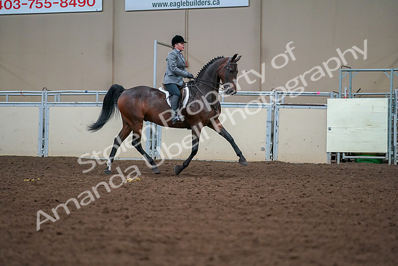 2019 Morgan Horse Show - Aug 30, 2019 - 20833