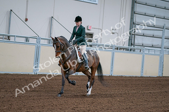 2020 - AB Morgan Horse - Fri, Sept 04 - 01683