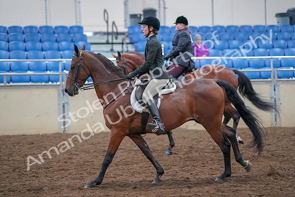 2019 Morgan Horse Show - Aug 30, 2019 - 20607