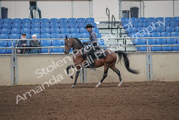 2019 Morgan Horse Show - Aug 31, 2019 - 06108