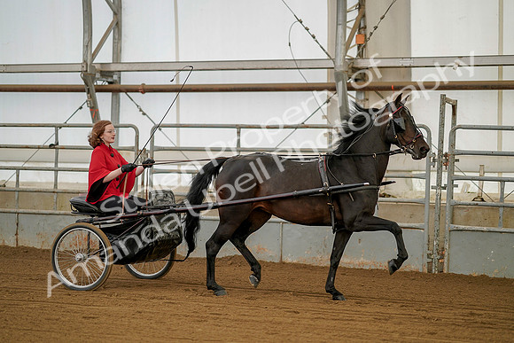 July 20, 2019 - 00206