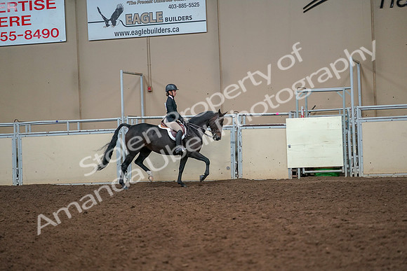 2019 Morgan Horse Show - Aug 30, 2019 - 12355