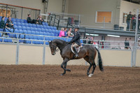 2020 - AB Morgan Horse - Sun, Sept 06 - 00881
