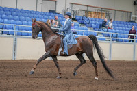 2020 - AB Morgan Horse - Sun, Sept 06 - 00017