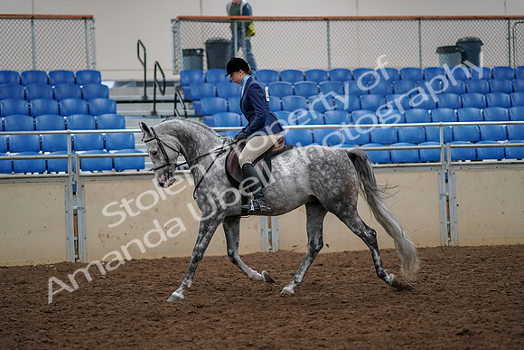 2019 Morgan Horse Show - Aug 30, 2019 - 22195