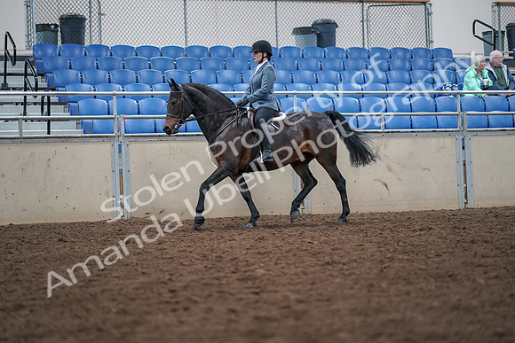 2019 Morgan Horse Show - Aug 30, 2019 - 18321