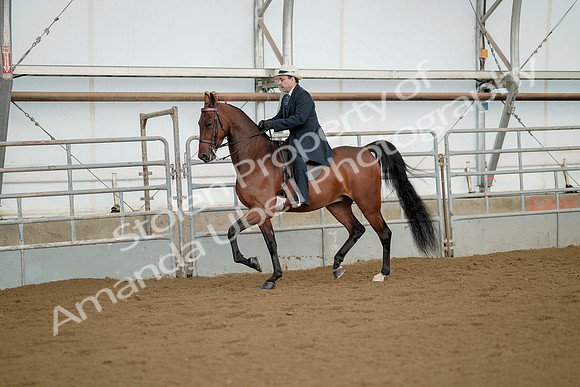 July 21, 2019 - 01542