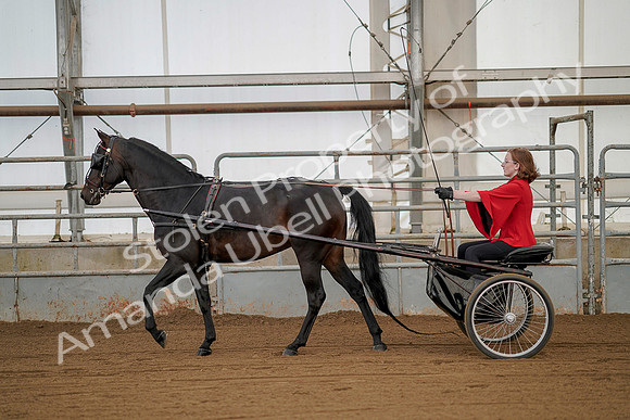 July 20, 2019 - 00142