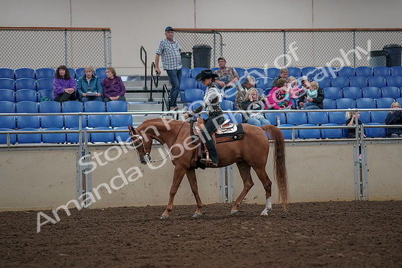2019 Morgan Horse Show - Aug 30, 2019 - 26004