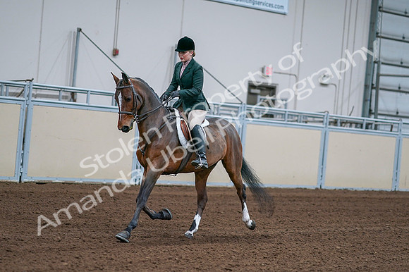 2020 - AB Morgan Horse - Fri, Sept 04 - 01688