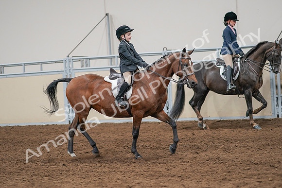2020 - AB Morgan Horse - Sun, Sept 06 - 08004
