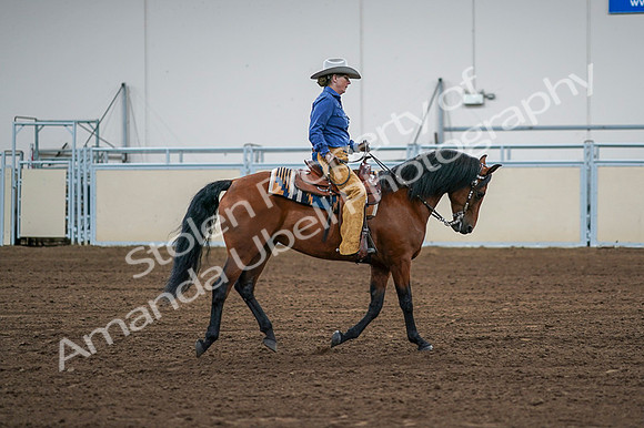 2020 - AB Morgan Horse - Fri, Sept 04 - 00113