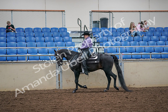 2019 Morgan Horse Show - Aug 30, 2019 - 16738