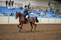 2020 - AB Morgan Horse - Sat, Sept 05 - 06865