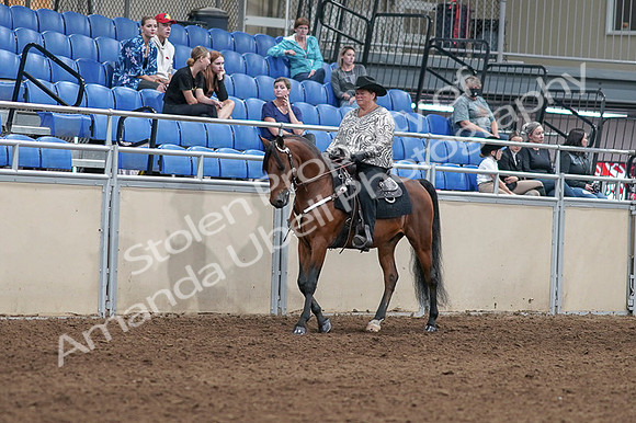 2020 - AB Morgan Horse - Fri, Sept 04 - 05692