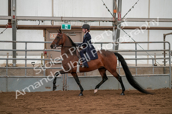 July 19, 2019 - 3812