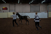 2019 Morgan Horse Show - Aug 31, 2019 - 00061