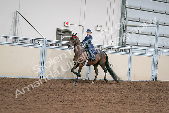 2020 - AB Morgan Horse - Sat, Sept 05 - 04800