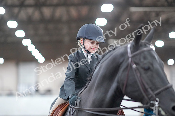 2019 Morgan Horse Show - Aug 31, 2019 - 19751