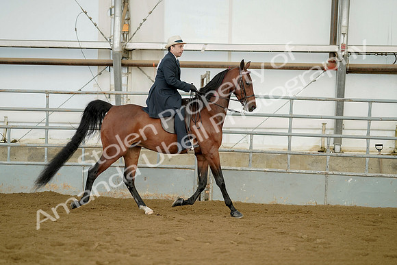 July 21, 2019 - 01810