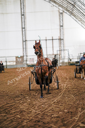 July 19, 2019 - 6791