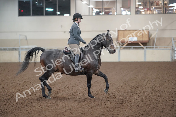 2019 Morgan Horse Show - Sept 01, 2019 - 11018