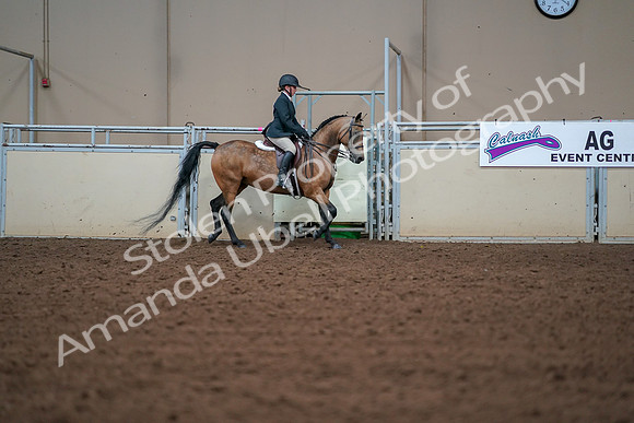 2019 Morgan Horse Show - Aug 30, 2019 - 20795