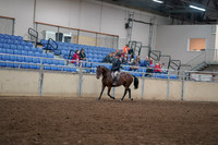 2019 Morgan Horse Show - Aug 30, 2019 - 12653