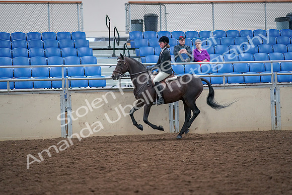 2019 Morgan Horse Show - Aug 30, 2019 - 20649