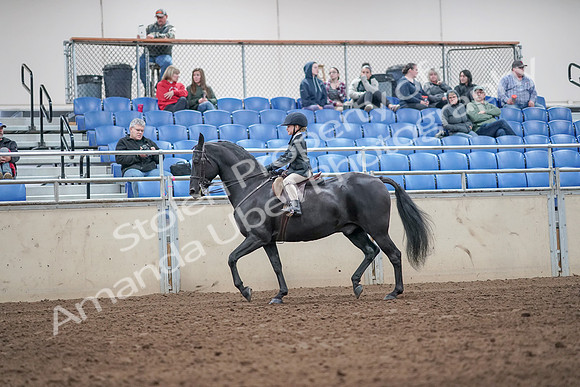 2019 Morgan Horse Show - Aug 31, 2019 - 19468