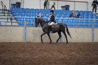 2019 Morgan Horse Show - Sept 01, 2019 - 09010