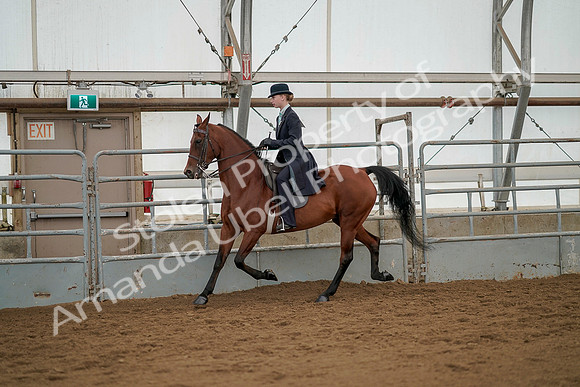 July 20, 2019 - 04418
