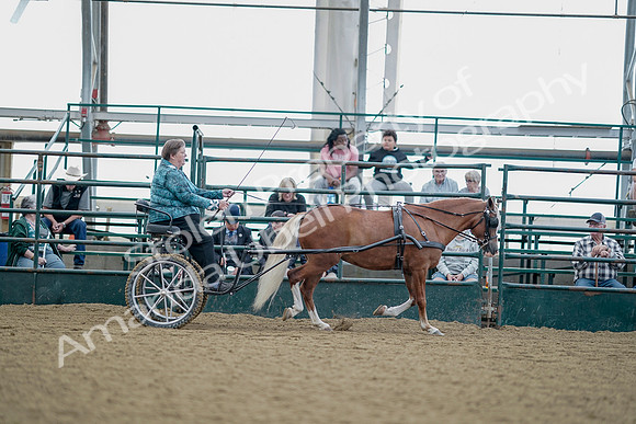 July 21, 2019 - 08980