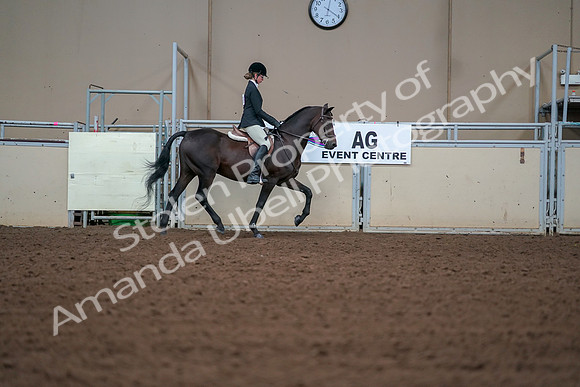 2019 Morgan Horse Show - Aug 30, 2019 - 20815