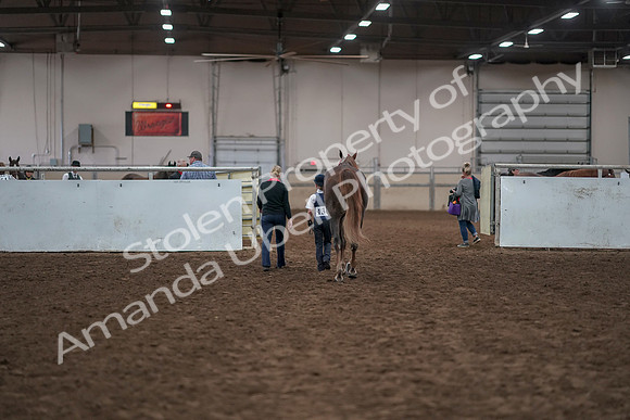2019 Morgan Horse Show - Aug 31, 2019 - 02833