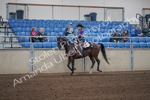 2019 Morgan Horse Show - Aug 31, 2019 - 10631