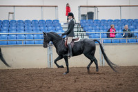 2019 Morgan Horse Show - Aug 31, 2019 - 17136
