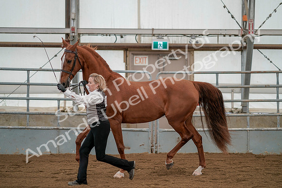 July 19, 2019 - 1369
