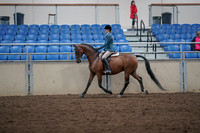 2019 Morgan Horse Show - Aug 31, 2019 - 17133
