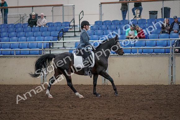 2019 Morgan Horse Show - Aug 31, 2019 - 07512