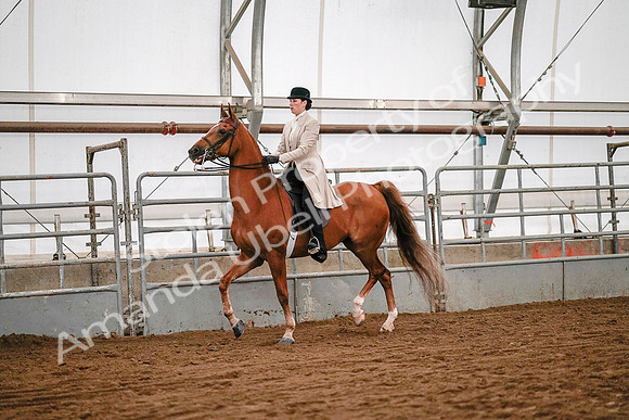 July 19, 2019 - 9006