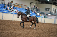 2020 - AB Morgan Horse - Sat, Sept 05 - 09306