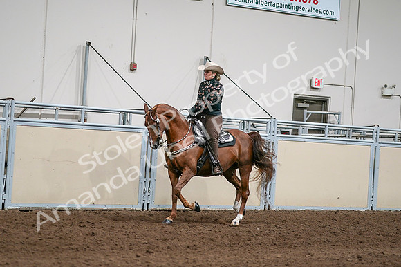 2020 - AB Morgan Horse - Fri, Sept 04 - 08416